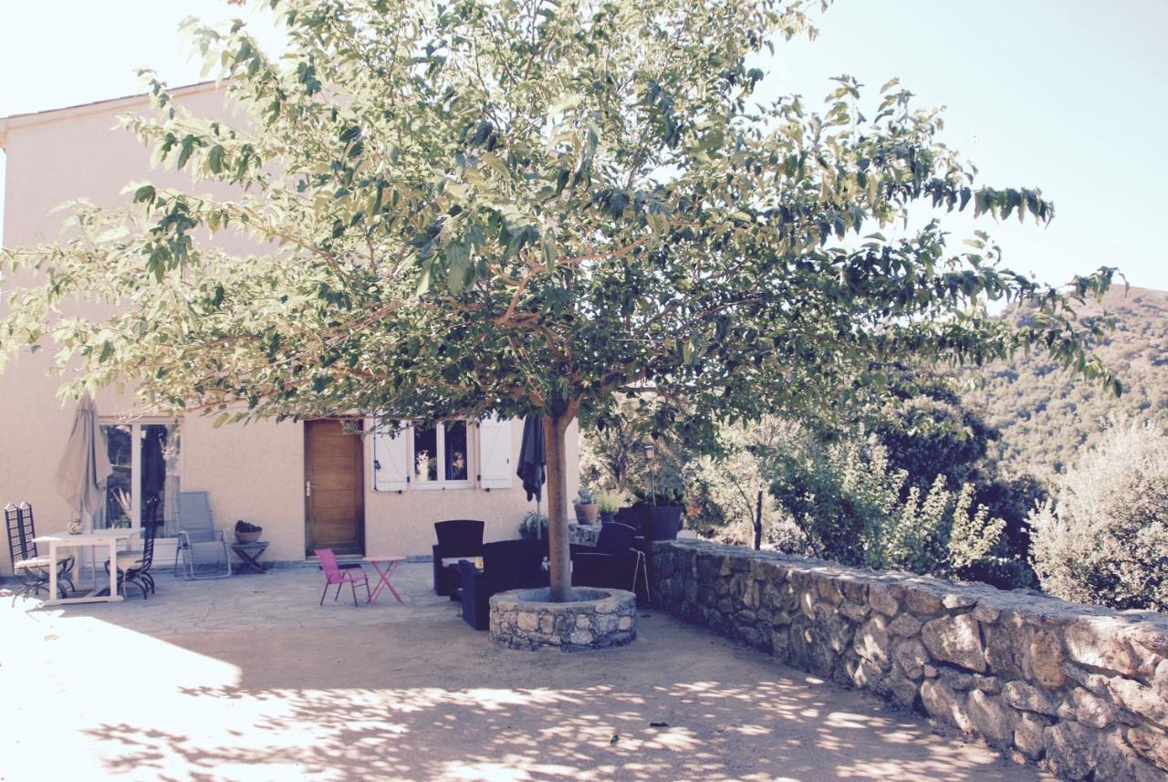 Résidence de Luxe 4 étoiles à Pietralba, 4 logements piscine chauffée BALAGNE Exterior foto